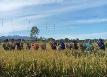 Tingkatkan Hasil Panen, Masyarakat Lakukan Metode Ramah Lingkungan.