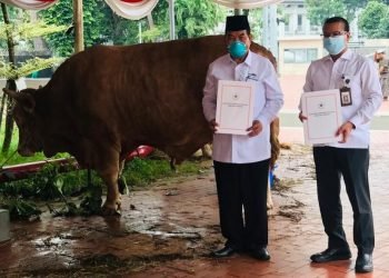Presiden Tunaikan Kurban Tahun Ini di 38 Provinsi