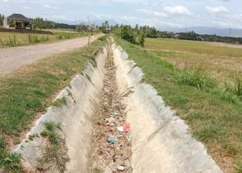 Air Irigasi Tidak Ada, Ratusan Lahan Persawahan Tidak Bisa Menanam Padi