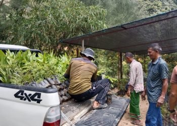 Aceh Besar Terima 1.000 Bibit Untuk Penghijauan