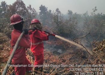 Delapan Titik Karhutla di Sumsel Berhasil Dipadamkan