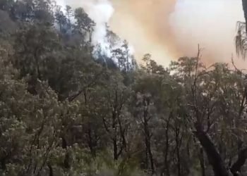 Kebakaran Lahan di Gunung Lawu, Personel Gabungan Berjibaku Padamkan Api