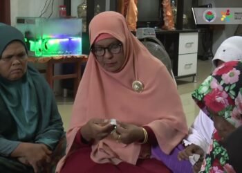 Desa Meunasah Lincah Inovasi Desa 2018