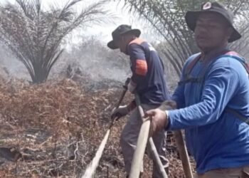 BPBD Aceh Barat Cegah Kebakaran Lahan Gambut