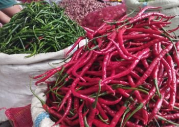 Jelang Ramadan, Harga Cabai di Banda Aceh Naik