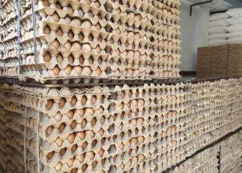 Harga Telur Merangkak Naik Jelang Ramadan