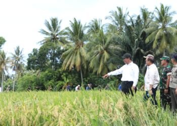 Pemprov Aceh dan Petani Sambut Gembira Tambahan Alokasi Pupuk Subsidi