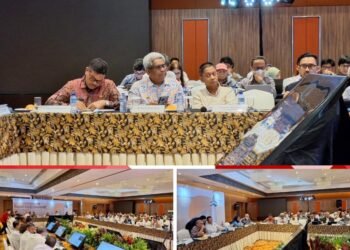 KEK Arun Lhokseumawe Aceh Diproyeksi Serap 40.000 Tenaga Kerja
