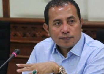 Ketua DPD PAN Aceh Selatan Kaget DPP PAN keluarkan Rekom Untuk Edi Saputra