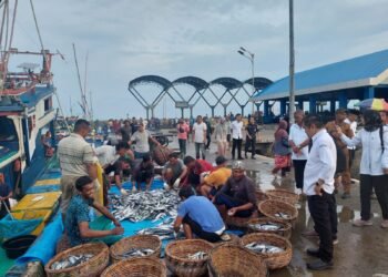 KKP Maksimalkan Serapan Hasil Tangkapan Nelayan Aceh