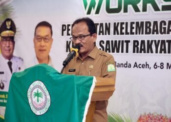 Perlunya Peningkatan Kemitraan Demi Produktivitas Sawit Rakyat di Aceh