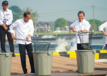 BINS Menjadi Terobosan Budi Daya Ikan Nila di Darat