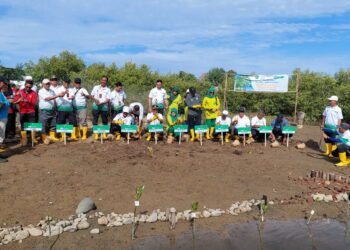 Tanam 2000 Mangrove, Ketua PN Banda Aceh: Menjaga Ekosistem Pesisir