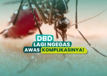 Mendekati Puncak Kemarau 2024, Kemenkes Pesan Waspada DBD