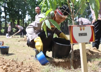 Peduli Lingkungan, Polda Aceh Tanam Seribu Pohon