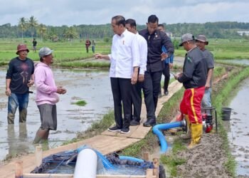 Presiden Tinjau Pompanisasi di Bone, Petani Bersyukur Terhindar Kekeringan