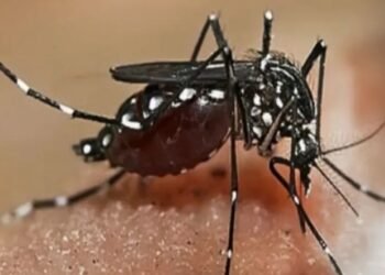 Nias Selatan Darurat Wabah DBD dan Malaria
