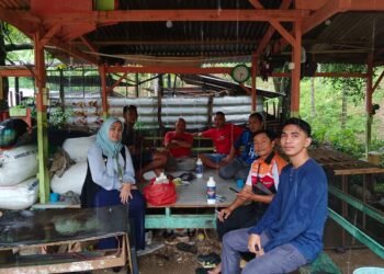 Anggota DPRK Aceh Selatan, Novi Rosmita kunjungi kandang ternak masyarakat guna tanggapi isu PMK