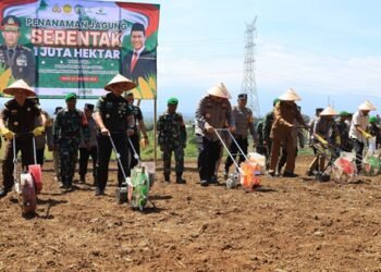 Kapolda Aceh dan Jajaran Forkopimda Tanam Satu Juta Hektare Jagung secara Serentak