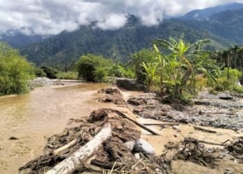 Tanggul Sungai di Aceh Tenggara Jebol Diterjang Banjir