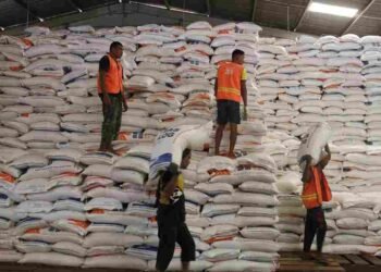 Stok Beras di Aceh Aman hingga Ramadan dan Idulfitri