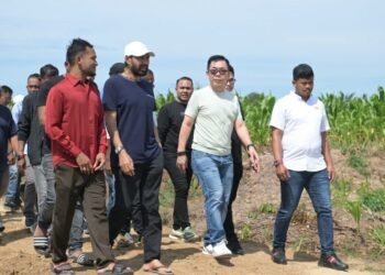 Mualem Tinjau Lahan Rencana Pembangunan Pabrik Rokok di Aceh Utara