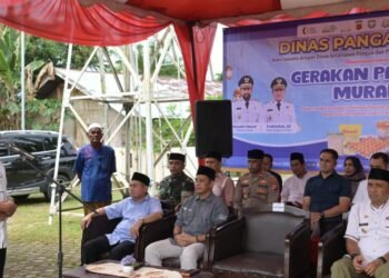 Buka Gerakan Pangan Murah di Aceh Timur, Ini Harapan Wakil Gubernur Aceh
