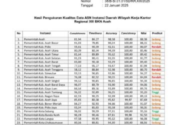 Kualitas Data ASN bagus, Pemko Sabang Peroleh Predikat Tertinggi Ketiga dari BKN ACEH REG XIII