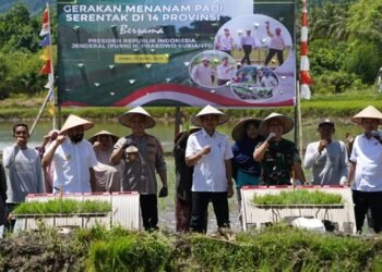 Gubernur Aceh dan Waka Polda Hadiri Gerakan Tanam Padi Serentak