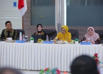 Wali Kota Illiza Paparkan Potensi dan Tantangan Banda Aceh kepada Komisi X DPR RI