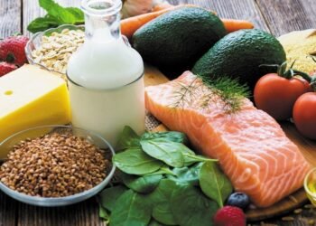 KPK Kawal Program Makan Bergizi Gratis, Soroti Empat Titik Rawan Korupsi