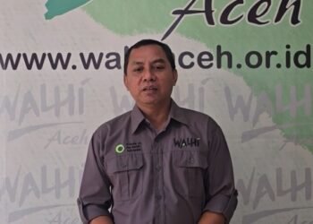 WALHI Aceh Dukung Penegakan Hukum Perambahan dan Pengrusakan Lingkungan
