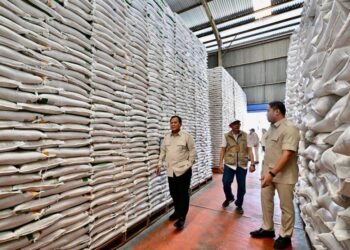 Presiden Tinjau Stok Beras di Magelang, Pastikan Kualitas dan Distribusi Aman