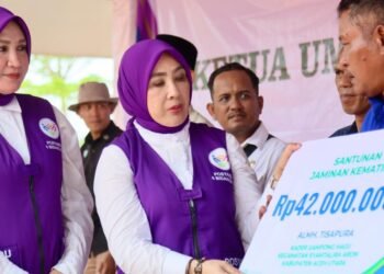 Peringatan Hari Posyandu Nasional di Langkahan, Ketum Posyandu Sosialisasikan 6 SPM