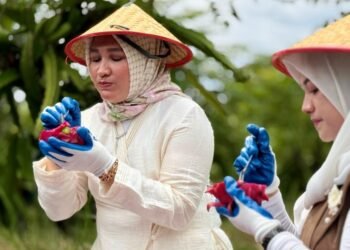 Kak Na Promosikan Buah Naga Sabang, Apresiasi Kreativitas Petani Lokal