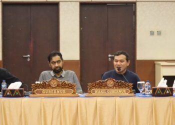 Mualem: Revisi UUPA Hindari Potensi Konflik Aceh