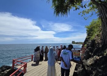 Tingkatkan kunjungan wisatawan, Dispar Aceh Selatan andalkan wisata Bahari